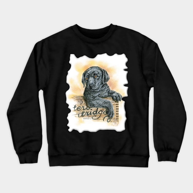 Little Buddy Crewneck Sweatshirt by Dave Bartholet Wildlife Art